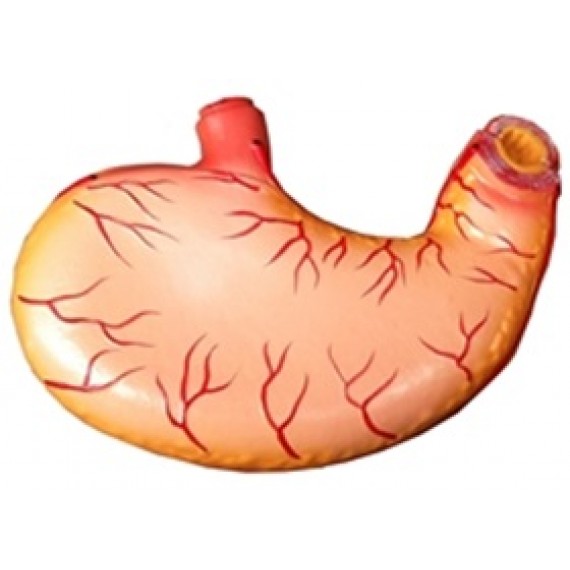 MODELO DE ESTOMAGO DESMONTÁVEL EM 2 P A R T E S
